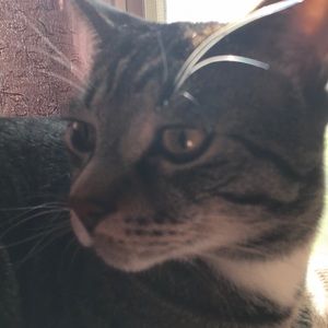 Meet your Posher, Timothy